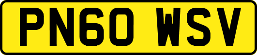 PN60WSV