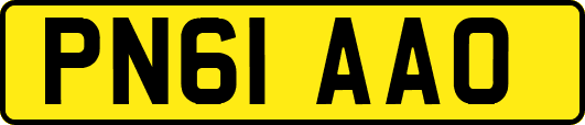 PN61AAO