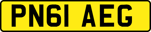 PN61AEG