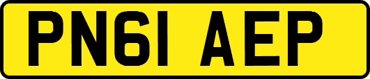 PN61AEP