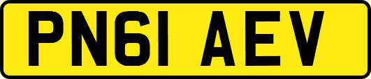 PN61AEV