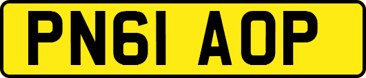 PN61AOP