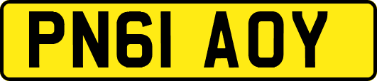 PN61AOY