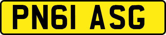 PN61ASG