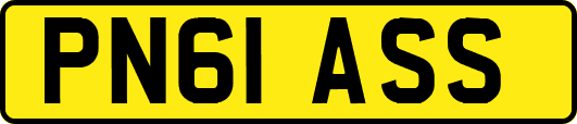PN61ASS