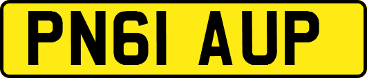 PN61AUP