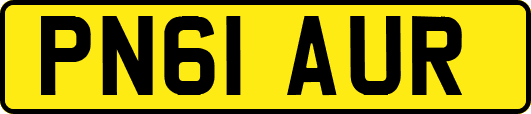 PN61AUR