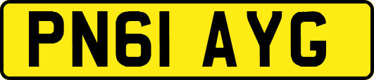 PN61AYG
