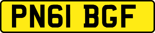 PN61BGF