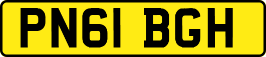 PN61BGH