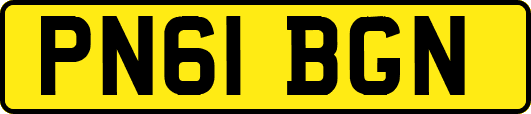 PN61BGN