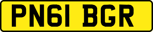 PN61BGR