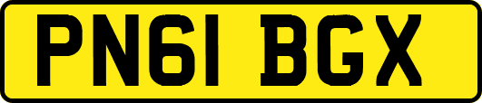 PN61BGX