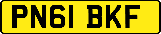 PN61BKF