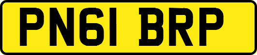 PN61BRP