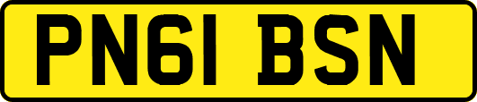 PN61BSN