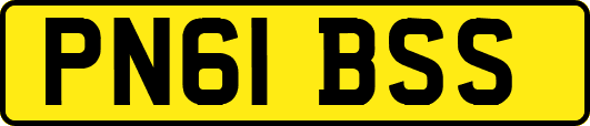 PN61BSS