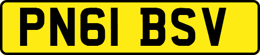 PN61BSV