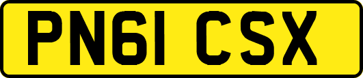 PN61CSX