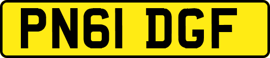 PN61DGF