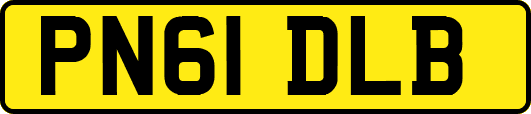 PN61DLB