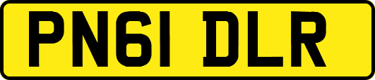 PN61DLR