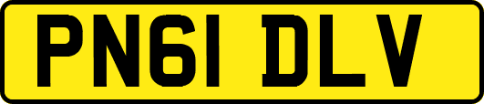 PN61DLV