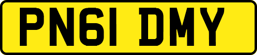 PN61DMY