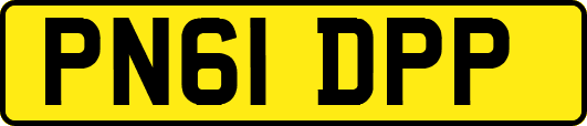 PN61DPP