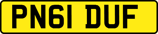 PN61DUF