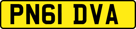 PN61DVA