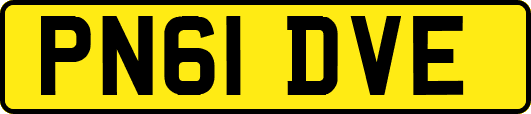 PN61DVE