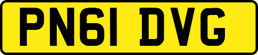 PN61DVG