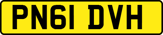 PN61DVH