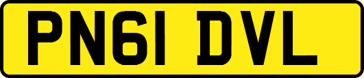 PN61DVL