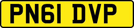 PN61DVP