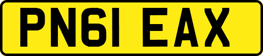 PN61EAX