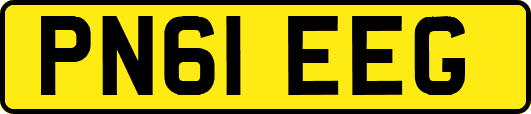 PN61EEG