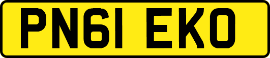 PN61EKO