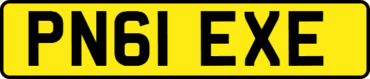 PN61EXE