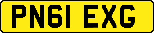 PN61EXG