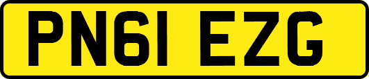 PN61EZG