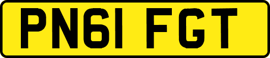 PN61FGT