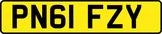 PN61FZY