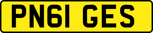 PN61GES