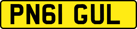 PN61GUL