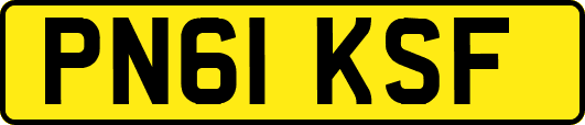 PN61KSF