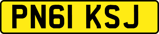 PN61KSJ