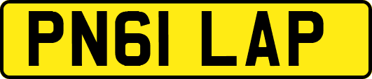 PN61LAP