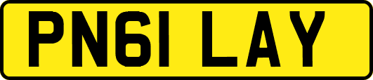 PN61LAY